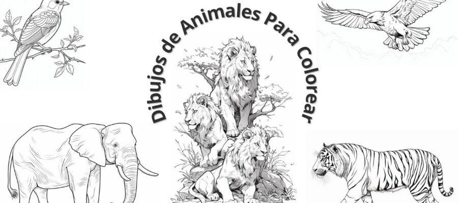 Dibujos de Animales Para Colorear